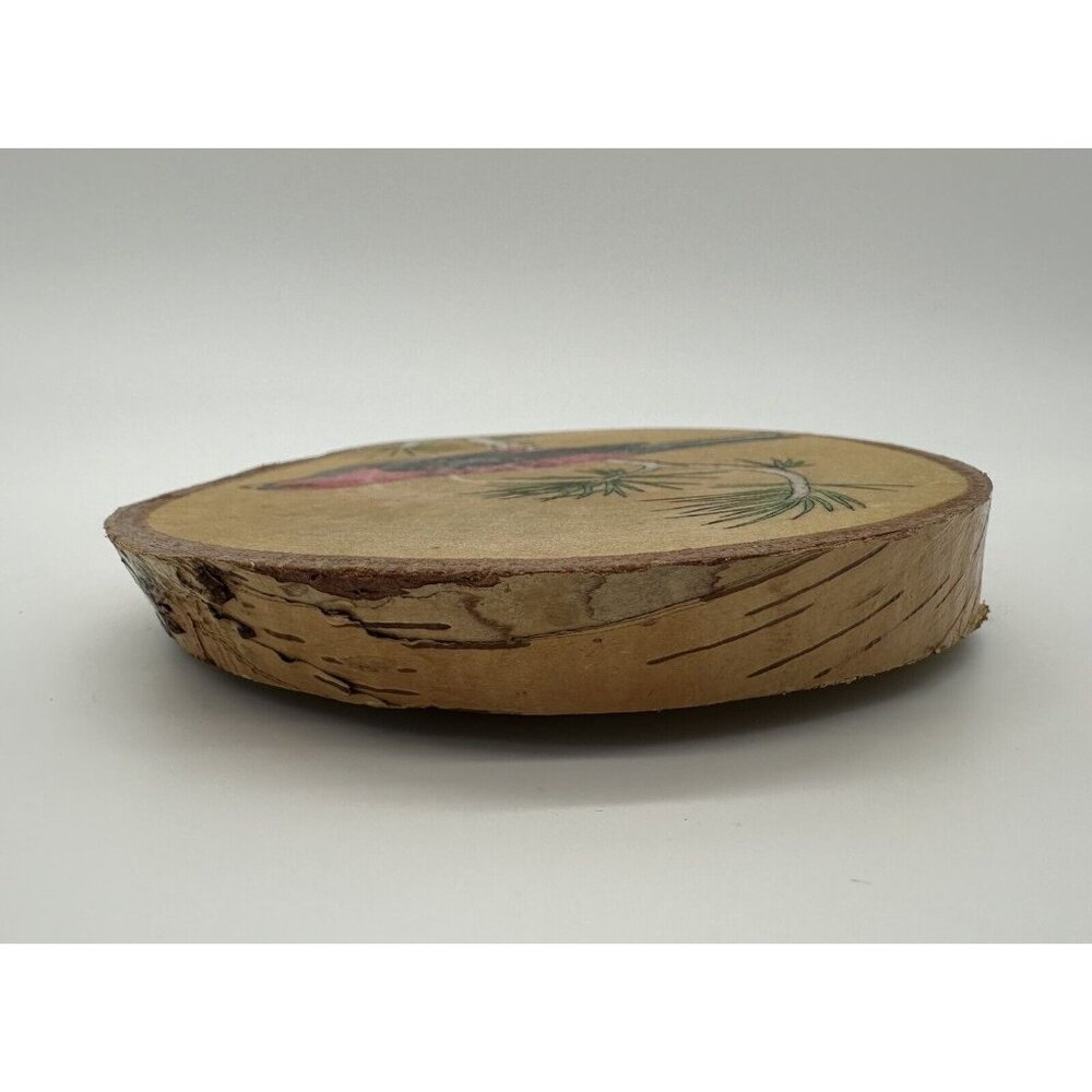 Red Bird Wall Hanging Picture Handmade Signed Live Edge Wood Oval Pine Grosbeak - Picture 4 of 9